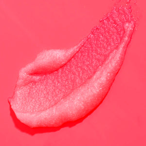 V6H95986BD122C1B363B01496E00DF58436R3244374P3