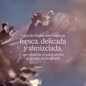 V2H49CFC5C5108CB9CEBB5692DCB852338FR7111386P5