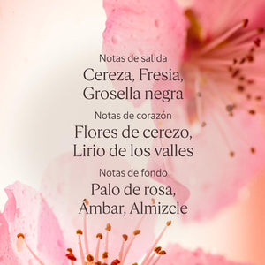 V2H029D432E27B76117FA4CEDA3B627E7A3R7407089P4