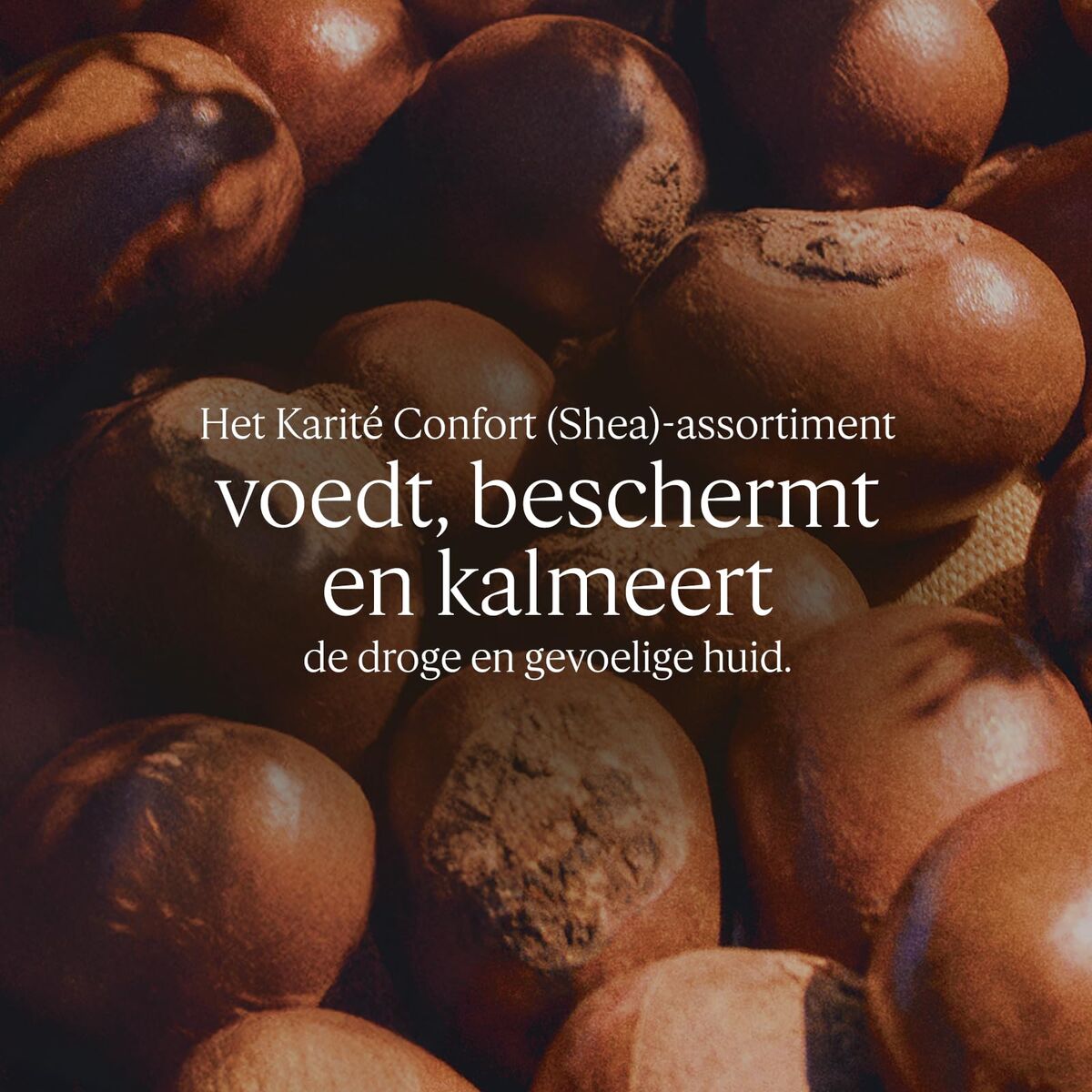 V2H08EB884AD60CF36D5D28C53EE2797194R7654585P2