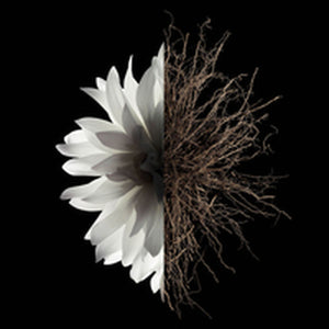 V5H4F6C68948B6ADA165E7B530CCE988CC6R6239565P3