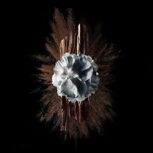 V4HD57BFFBA2AA917DD3D6BAA465CAA4794R5397790P5