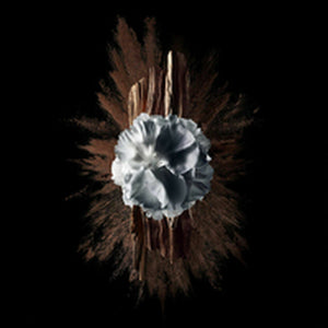 V4HBA43BAF822A621889D919D3E077064D9R5397791P6