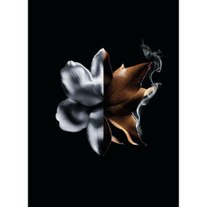 V5HA94868E4507C3D603F80BBACB150FA25R6240162P6