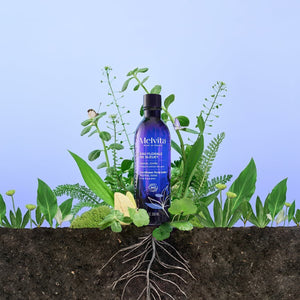 V4H57B33202382A47AB21BE649F7E17FFF0R6985291P6