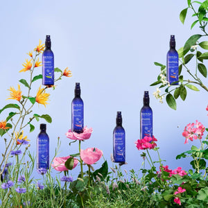 V3H19E1845824C7FD37287A8C5BA78F85F3R6241722P6