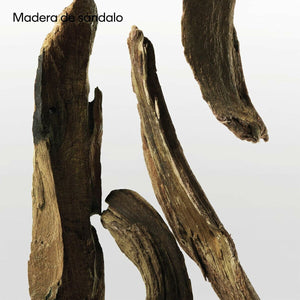 V4H326299D38D33FC3D983EDE57975D8C0ER7125026P10