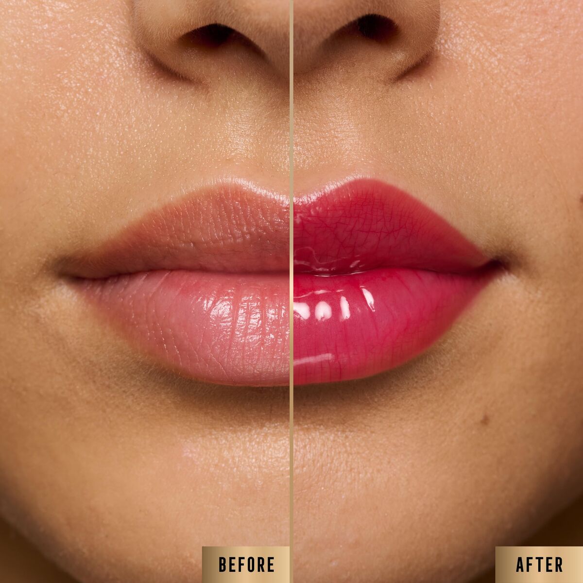 V2HAE1A45F1F6CEF97239F4A9BDA462A2F1R7424765P2