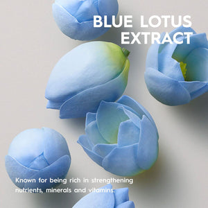 V2HED197BFBB22935555D4D523288F4E233R7388195P8