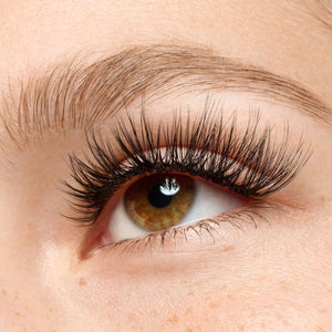 V2HC6E456C49ED282FAE8733CE24ECBA9E5R7435095P6