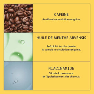 V4HF9551A4D5DFB3BAD97AD0236C393A69FR7522406P5