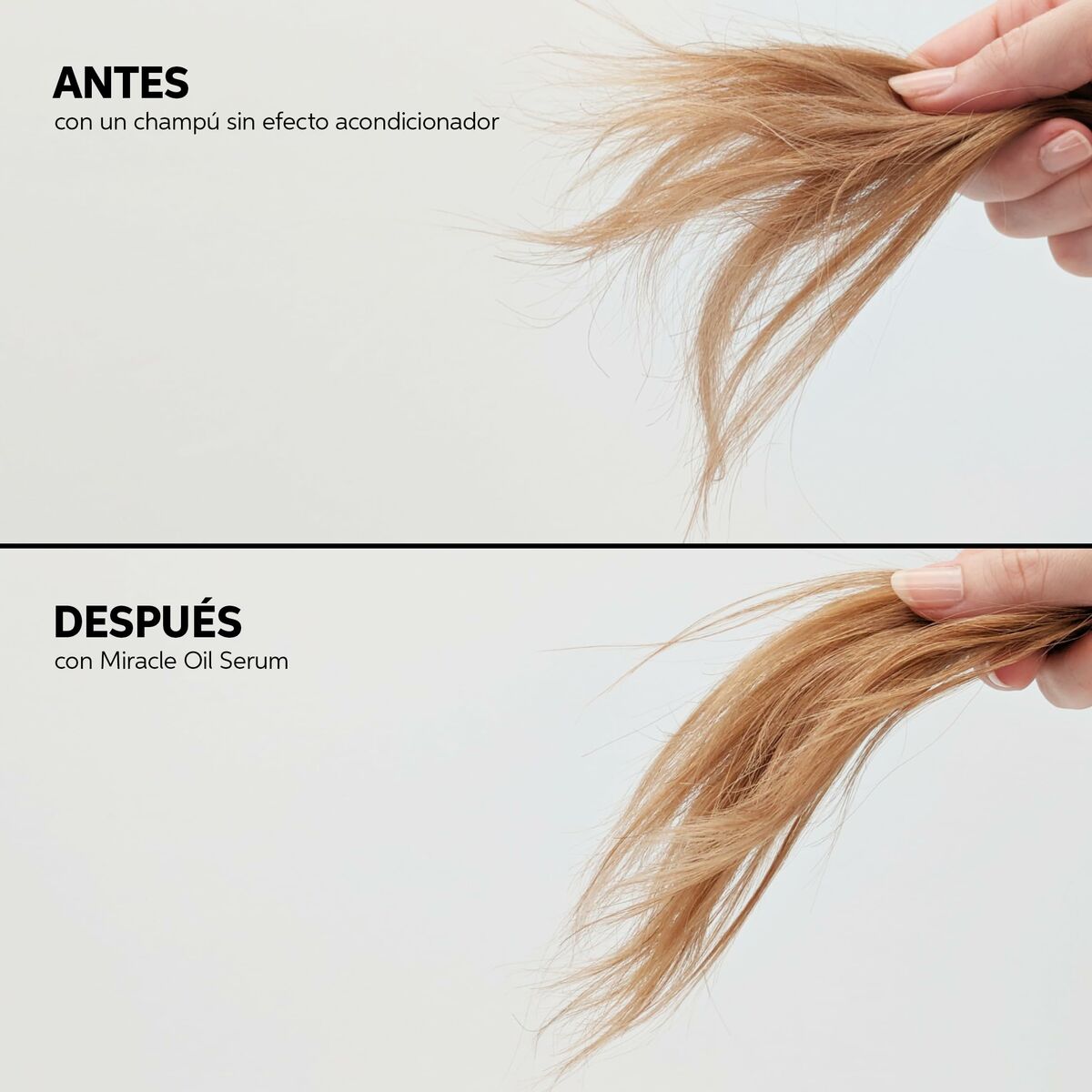 V3HDA317E0026BB0888D47D574BBEB8425ER5608524P10