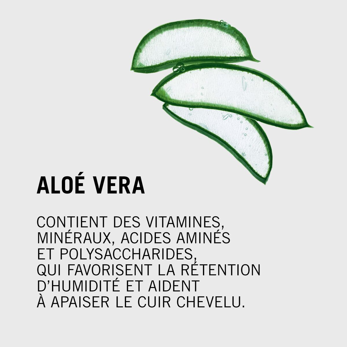 V2HB436C1D14C0AED28866B78EF7F80E8D4R7368978P8