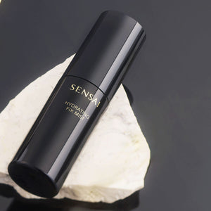 V3H89C29526325C787E3192246D4A09C42BR7595401P3