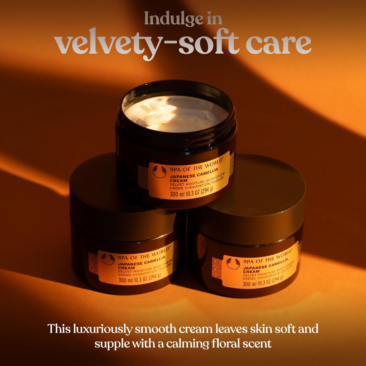 V4H5E2A61CBB60115CBC14D96E045B8D00BR7487059P2