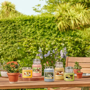 V5H4F11BC4BE80373038916C79F2D9A22AER5681383P4