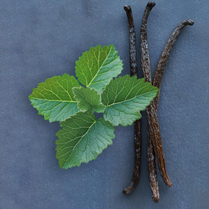 V4HA402E546EAA28395559BCC34333C22B2R7528116P5