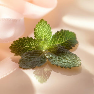 V2H78FDF58B04A23070DB23DD9D0BC1827FR7415529P4