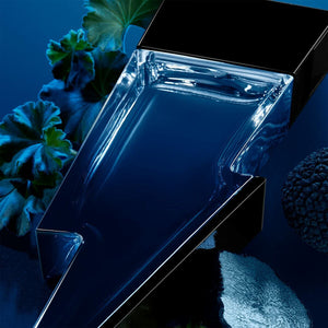 V4HF643BF206A9F465E87B7D505EA28817ER5078030P3