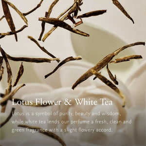 V3H12B5919EE497FDE6FB2BF4E669AE008FR7590631P4