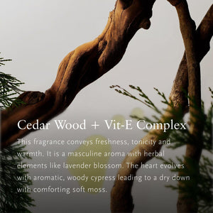 V2H2C8416C0648A14F6371C1D646EDE8BAAR7424992P3