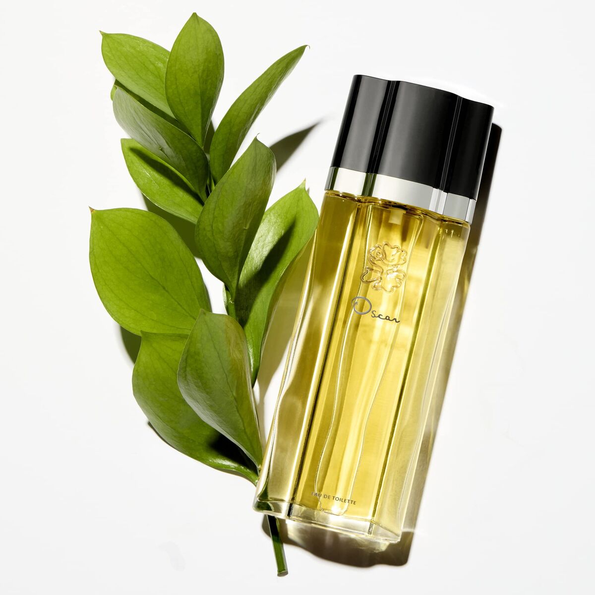 V2HD86D83D296A63B5325AC0691D4B7B64ER7590741P6