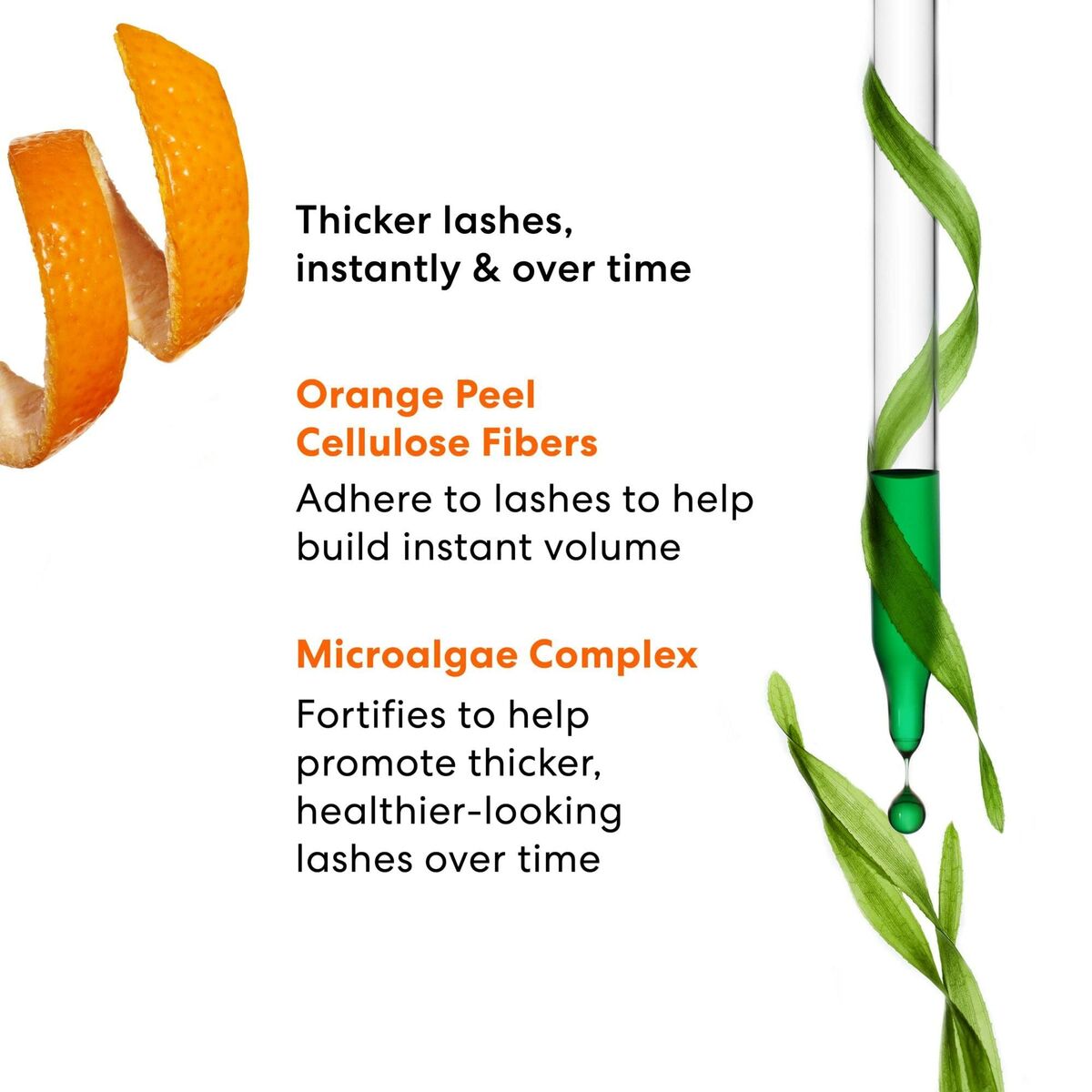 V3H77C28544FEB44A078DC9E44FA167DF30R6242039P4