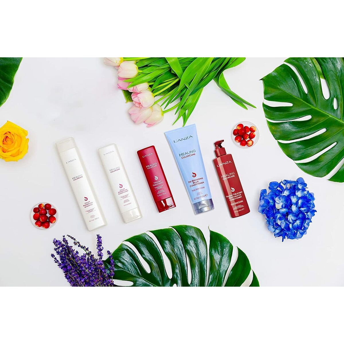 V4H2B175D42F5164DA5233CAA5B69ACDE46R7094451P4