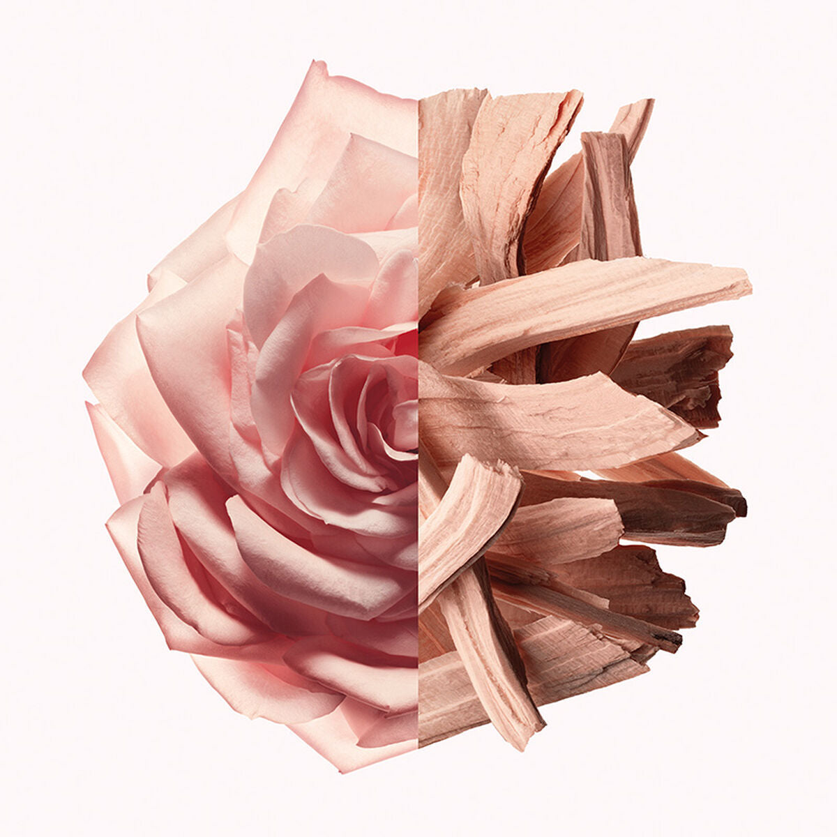 V4H423A9BBCDBA73855D51EB27AF6D251FAR5674696P4