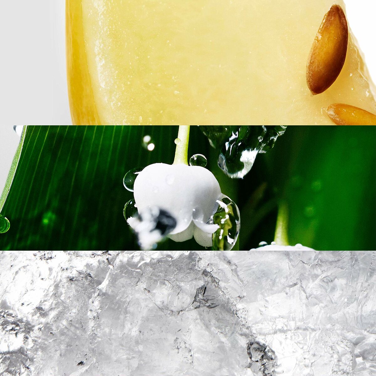 V5H565214F709DF9D5F913EB5760AFB74FBR5992220P10