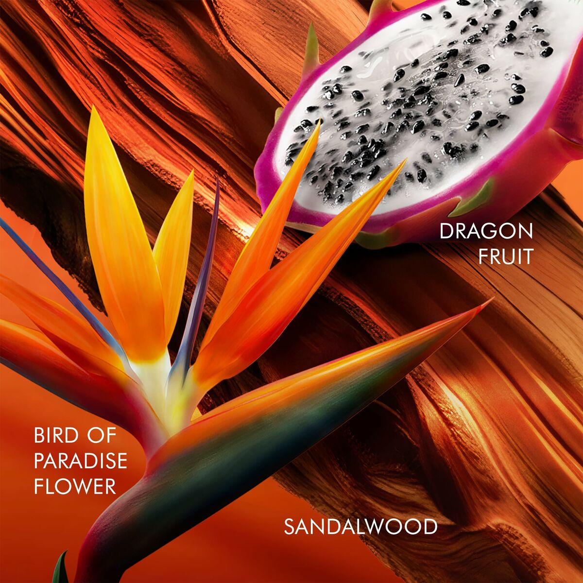 V3H800290CE8F00C6C469AE95992198A050R6240784P3