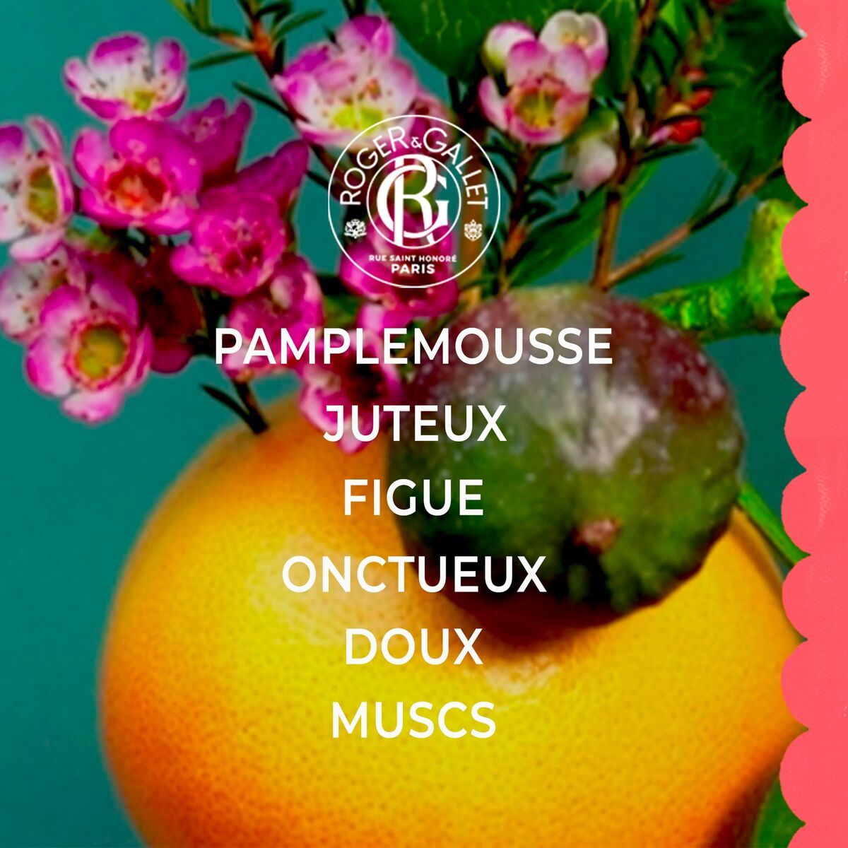 V4H92533F581588214718F251D8A843208AR7111733P3