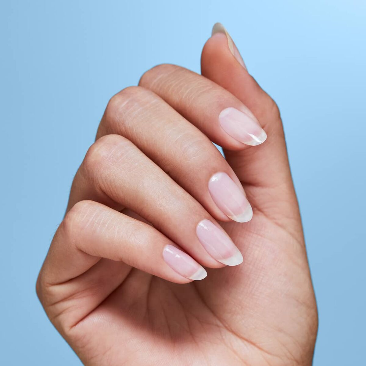 V4H4E2565C1E5C60AF02393919CD42CA7B8R4549793P4