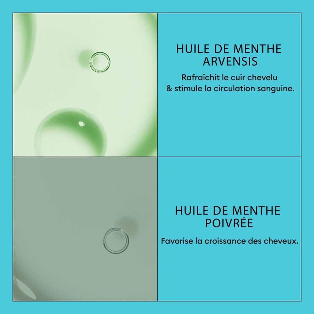 V4H01C70D53BE66C32C9A0B15854B21BC6BR7509603P4