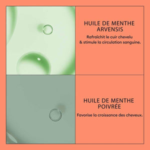 V2HB60406545DEAD6573675A20B29B1212DR7509610P4