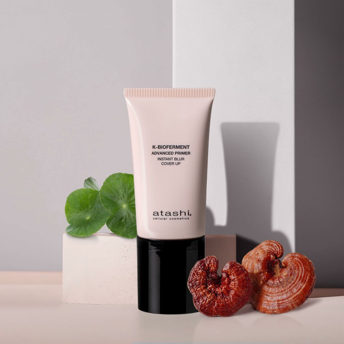 V3HEB2C62AAD22078BAECED027D56ECFEAER5674940P2