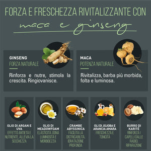 V5HD26361A1AAFECEE33BD02D408A6702B1R6241674P3