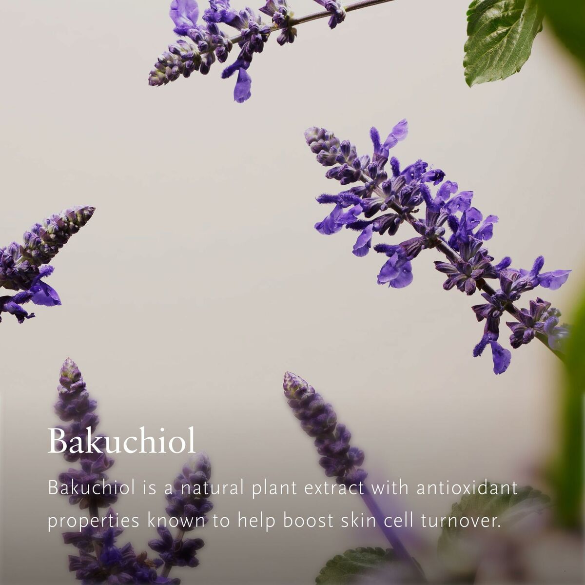 V2H58F1FB9744703CA6755D63616AA42803R6985203P4