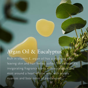 V3H3D301D0F99ECFB9319DFCF28064CEEC6R7548985P4