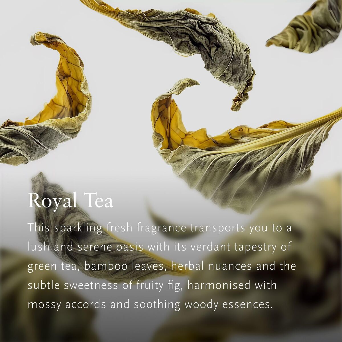 V3H0D963E90B1DB1B7284F610D680D9DA9CR7595446P4