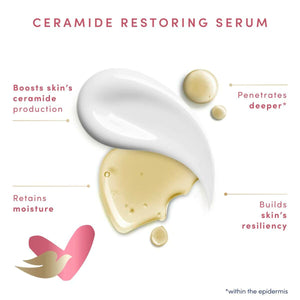 V8HF8BDDC41DB8BED84DB977B6542C8DD37R3664311P3