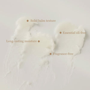 V2H785F8AEB44203EA96D9AADB213DFCCD9R7040541P3